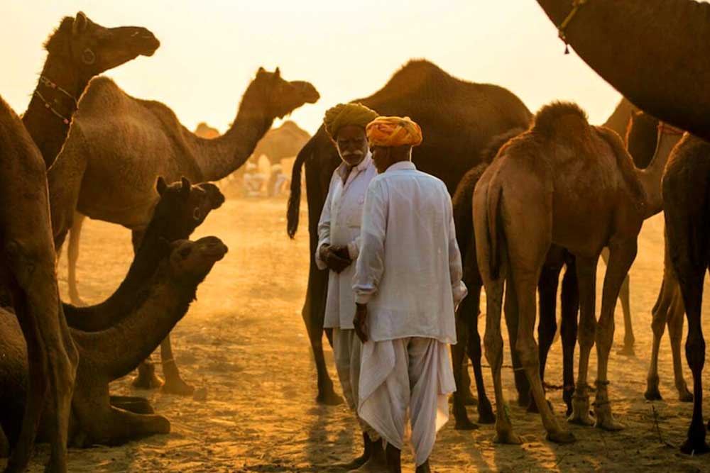 6 Nights 7 Days Golden Triangle Tour with Ajmer and Pushkar